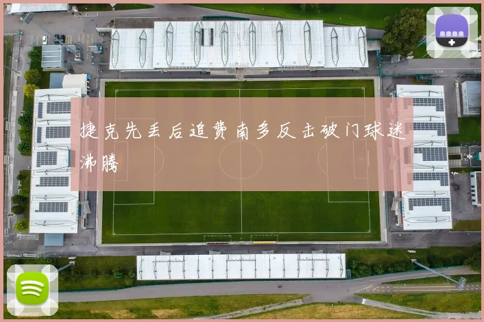 捷克先丢后追费南多反击破门球迷沸腾