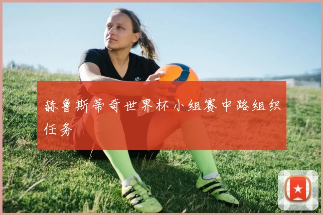赫鲁斯蒂奇世界杯小组赛中路组织任务
