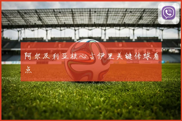 阿尔及利亚核心古伊里关键传球看点