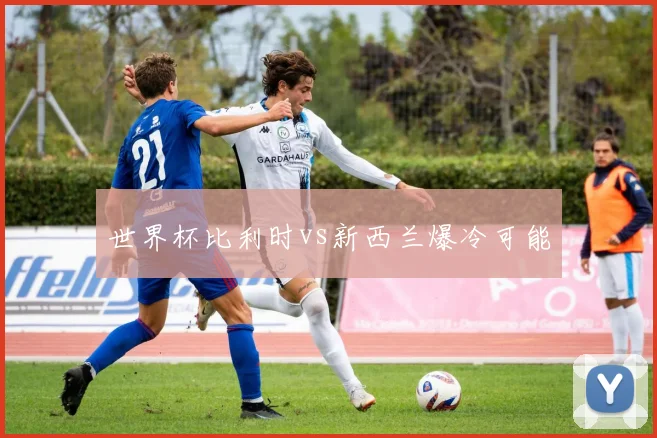 世界杯比利时vs新西兰爆冷可能