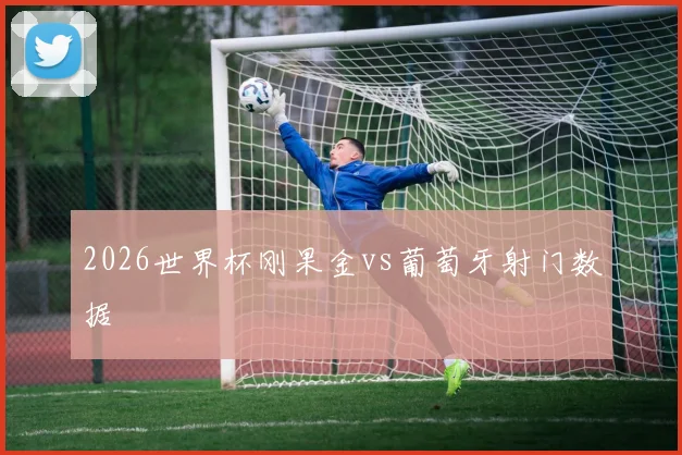 2026世界杯刚果金vs葡萄牙射门数据