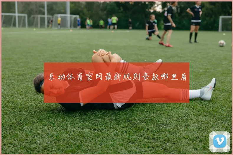 乐动体育官网最新规则条款哪里看