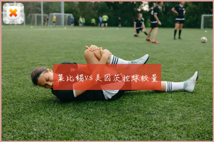 莱比锡vs美因茨控球较量