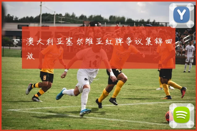 澳大利亚塞尔维亚红牌争议集锦回放