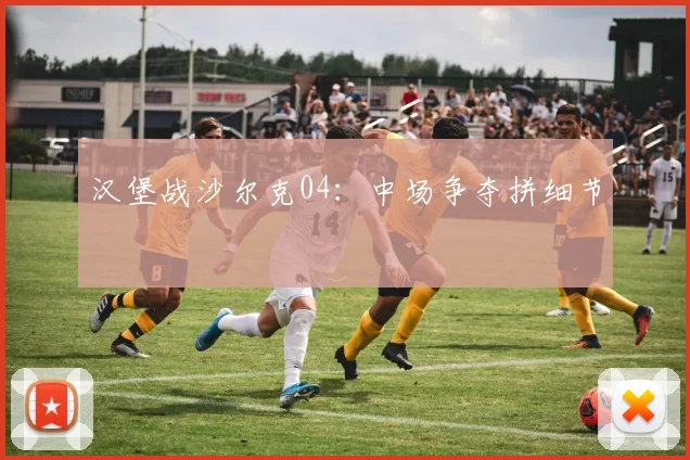 汉堡战沙尔克04：中场争夺拼细节